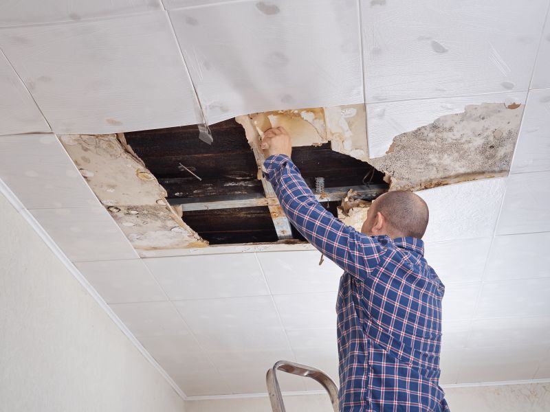 Ceiling Joist Repair