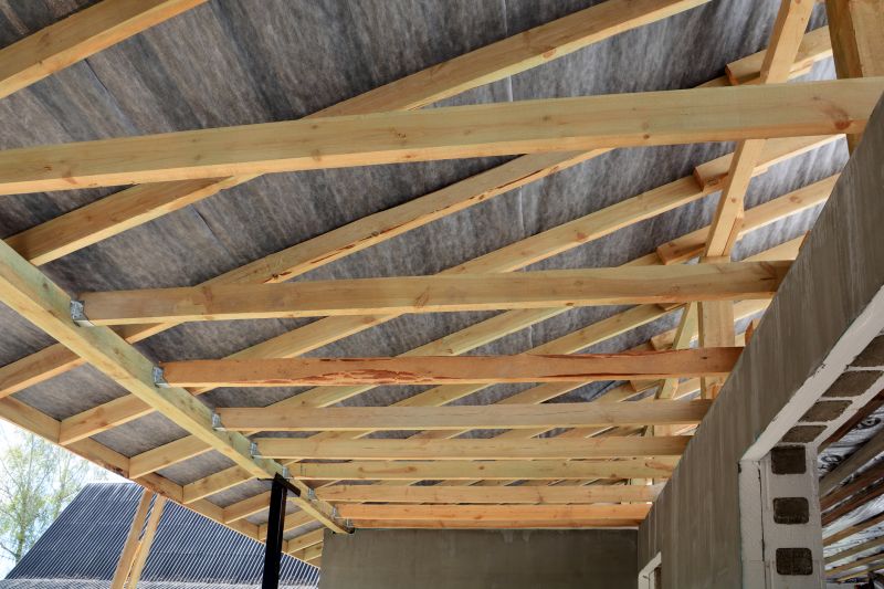 Roof Framing Repair detail