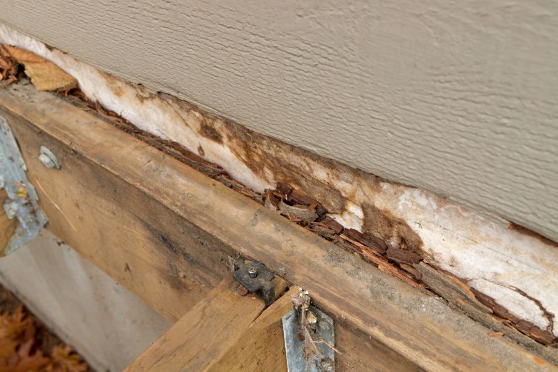 Structural Wood Repair