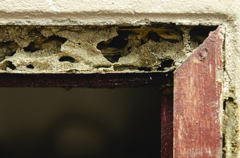 Structural Wood Repair