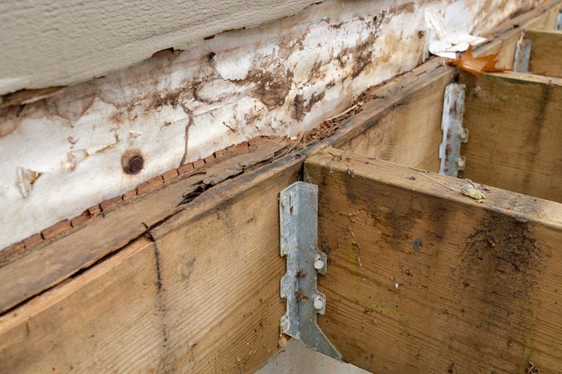 Structural Wood Repair