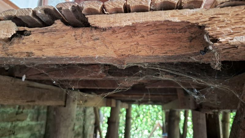 Structural Wood Repair