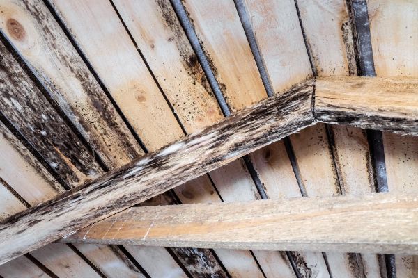 Rotted Joist Repair in Arroyo Grande