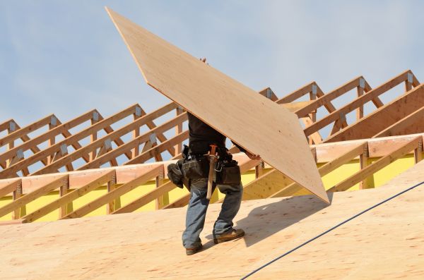 Plywood Replacement in Arroyo Grande