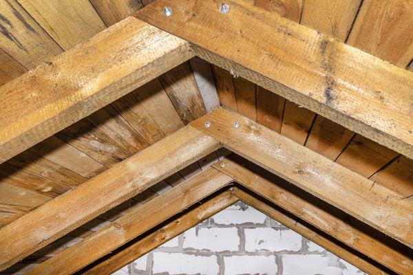 Rafter Repair Service in Arroyo Grande